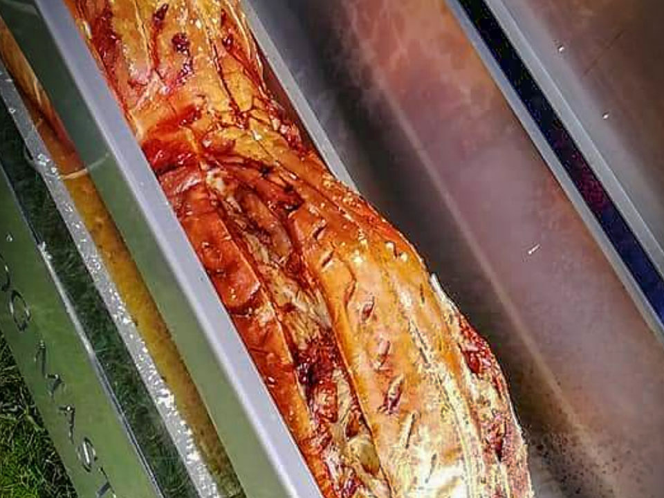 Northumberland BBQ Catering for Weddings & Events Northumberland BBQ Catering for Weddings & Events